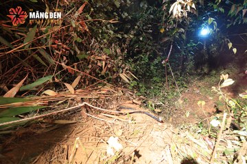 MĂNG ĐEN ULTRA TRAIL 2026 - Ảnh #4512634