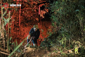 MĂNG ĐEN ULTRA TRAIL 2026 - Ảnh #4520789