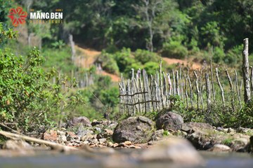 MĂNG ĐEN ULTRA TRAIL 2026 - Ảnh #4523727