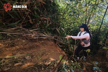 MĂNG ĐEN ULTRA TRAIL 2026 - Ảnh #4514329