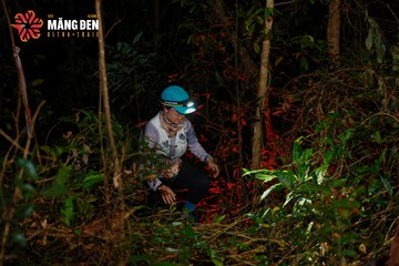 MĂNG ĐEN ULTRA TRAIL 2026 - Ảnh #4525875