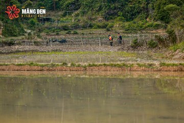 MĂNG ĐEN ULTRA TRAIL 2026 - Ảnh #4523364