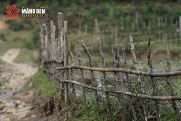 MĂNG ĐEN ULTRA TRAIL 2026 - Ảnh #4519549