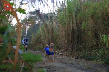 MĂNG ĐEN ULTRA TRAIL 2026 - Ảnh #4506760