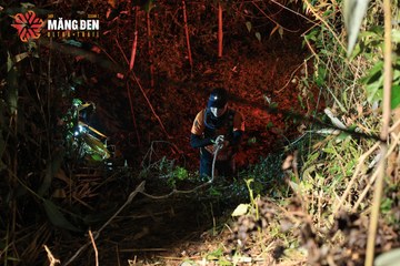 MĂNG ĐEN ULTRA TRAIL 2026 - Ảnh #4520806