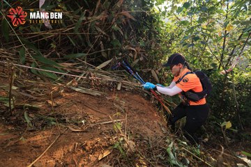 MĂNG ĐEN ULTRA TRAIL 2026 - Ảnh #4513014