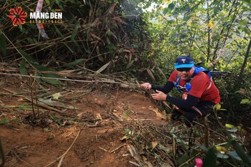 MĂNG ĐEN ULTRA TRAIL 2026 - Ảnh #4513127