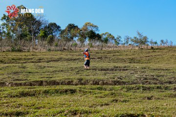 MĂNG ĐEN ULTRA TRAIL 2026 - Ảnh #4522672