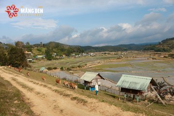 MĂNG ĐEN ULTRA TRAIL 2026 - Ảnh #4522886