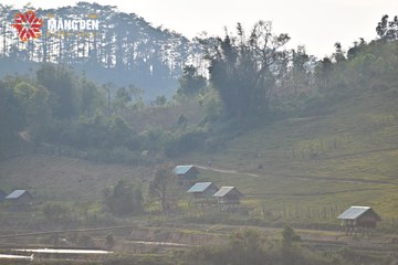 MĂNG ĐEN ULTRA TRAIL 2026 - Ảnh #4525057