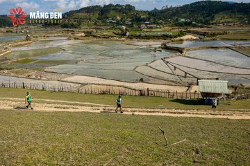 MĂNG ĐEN ULTRA TRAIL 2026 - Ảnh #4522658