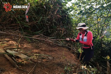 MĂNG ĐEN ULTRA TRAIL 2026 - Ảnh #4514311
