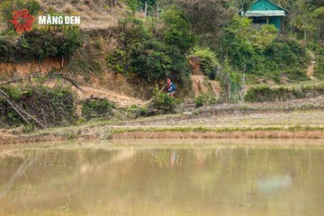 MĂNG ĐEN ULTRA TRAIL 2026 - Ảnh #4523350