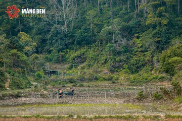 MĂNG ĐEN ULTRA TRAIL 2026 - Ảnh #4523365