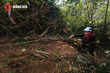 MĂNG ĐEN ULTRA TRAIL 2026 - Ảnh #4514124