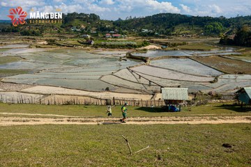 MĂNG ĐEN ULTRA TRAIL 2026 - Ảnh #4522660