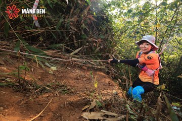 MĂNG ĐEN ULTRA TRAIL 2026 - Ảnh #4512946