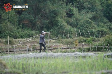MĂNG ĐEN ULTRA TRAIL 2026 - Ảnh #4519668