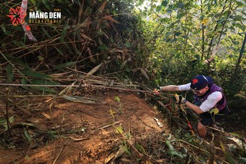 MĂNG ĐEN ULTRA TRAIL 2026 - Ảnh #4513011