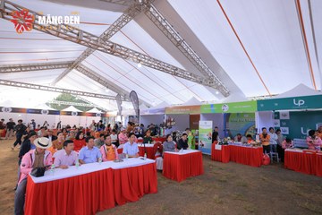 MĂNG ĐEN ULTRA TRAIL 2026 - Ảnh #4519888