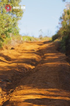 MĂNG ĐEN ULTRA TRAIL 2026 - Ảnh #4511605