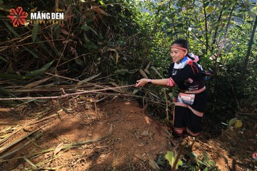 MĂNG ĐEN ULTRA TRAIL 2026 - Ảnh #4514464