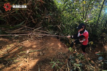 MĂNG ĐEN ULTRA TRAIL 2026 - Ảnh #4514442