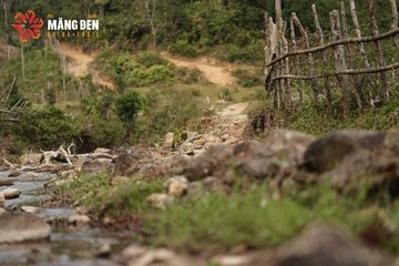MĂNG ĐEN ULTRA TRAIL 2026 - Ảnh #4518892