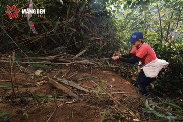 MĂNG ĐEN ULTRA TRAIL 2026 - Ảnh #4513222
