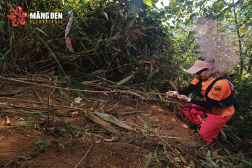 MĂNG ĐEN ULTRA TRAIL 2026 - Ảnh #4513230