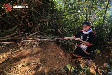 MĂNG ĐEN ULTRA TRAIL 2026 - Ảnh #4514460