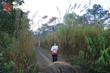 MĂNG ĐEN ULTRA TRAIL 2026 - Ảnh #4507417