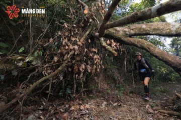 MĂNG ĐEN ULTRA TRAIL 2026 - Ảnh #4514963