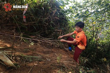 MĂNG ĐEN ULTRA TRAIL 2026 - Ảnh #4514220