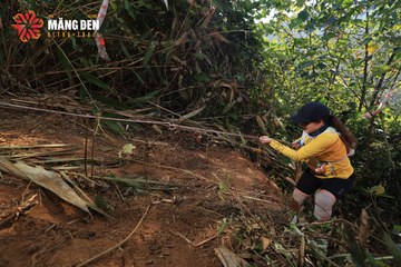 MĂNG ĐEN ULTRA TRAIL 2026 - Ảnh #4514175