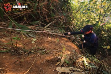 MĂNG ĐEN ULTRA TRAIL 2026 - Ảnh #4512924