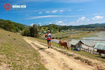 MĂNG ĐEN ULTRA TRAIL 2026 - Ảnh #4523428