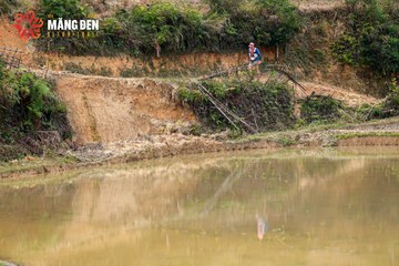 MĂNG ĐEN ULTRA TRAIL 2026 - Ảnh #4523356