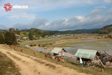 MĂNG ĐEN ULTRA TRAIL 2026 - Ảnh #4522888