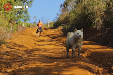 MĂNG ĐEN ULTRA TRAIL 2026 - Ảnh #4511683