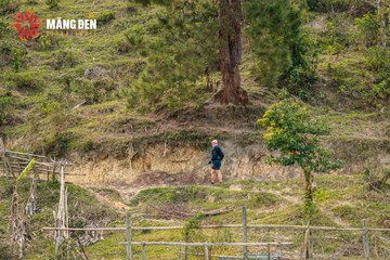MĂNG ĐEN ULTRA TRAIL 2026 - Ảnh #4523347