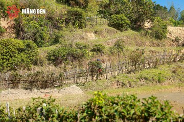 MĂNG ĐEN ULTRA TRAIL 2026 - Ảnh #4523647