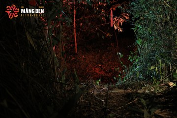 MĂNG ĐEN ULTRA TRAIL 2026 - Ảnh #4521269