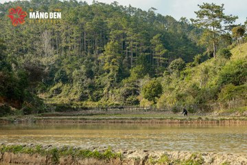 MĂNG ĐEN ULTRA TRAIL 2026 - Ảnh #4522964
