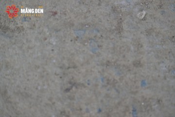 MĂNG ĐEN ULTRA TRAIL 2026 - Ảnh #4525613