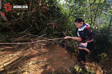 MĂNG ĐEN ULTRA TRAIL 2026 - Ảnh #4514465