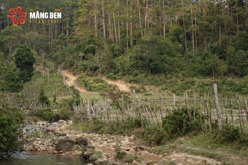 MĂNG ĐEN ULTRA TRAIL 2026 - Ảnh #4518606