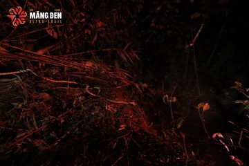 MĂNG ĐEN ULTRA TRAIL 2026 - Ảnh #4512491
