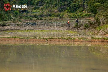 MĂNG ĐEN ULTRA TRAIL 2026 - Ảnh #4523358