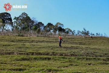 MĂNG ĐEN ULTRA TRAIL 2026 - Ảnh #4522679